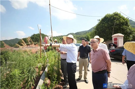 建德南方水泥有限公司綠色建材產業(yè)園