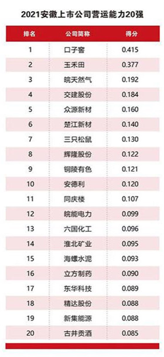 營運能力20強