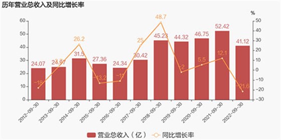 收入增長(zhǎng)率