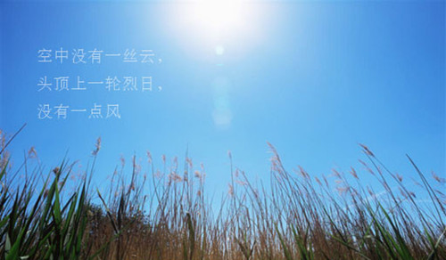 炎熱夏季