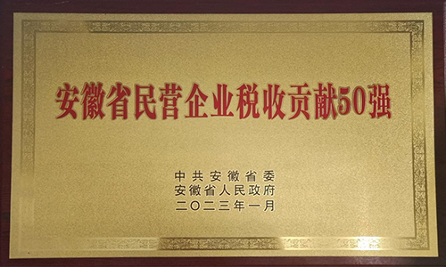 安徽省民營企業(yè)稅收貢獻(xiàn)50強(qiáng)